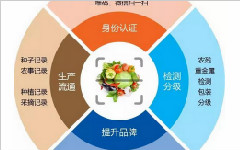二維碼質(zhì)量追溯系統(tǒng)是如何實(shí)現(xiàn)全程追溯的？