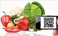 食品安全貼上身份證構建二維碼全過程追溯體系